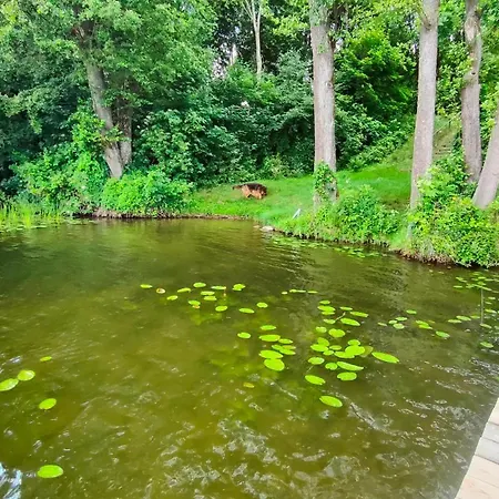 Letniskowy Nad Jeziorem